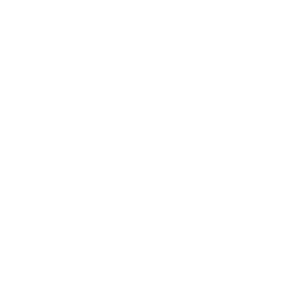 Seniors Logo